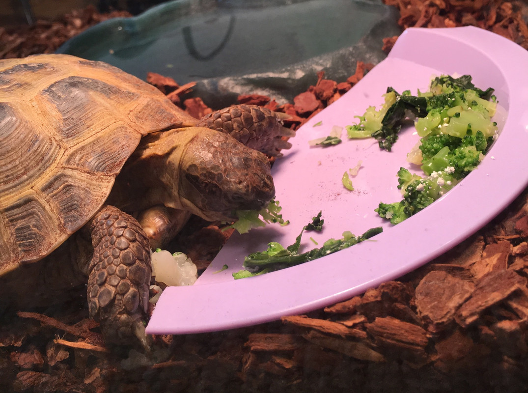 FBD68F49-4967-498E-845E-E3A005A85CB1