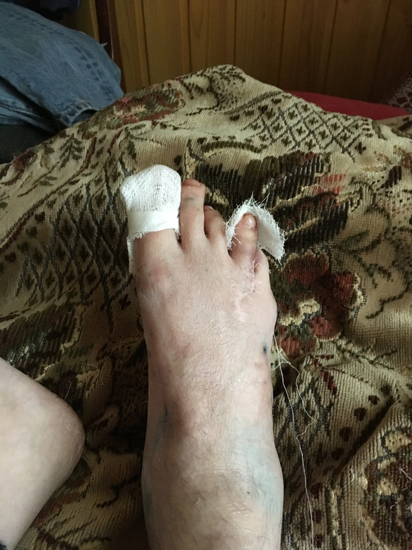 FB70346E-6B71-4C0C-A53C-A98C80E761B6