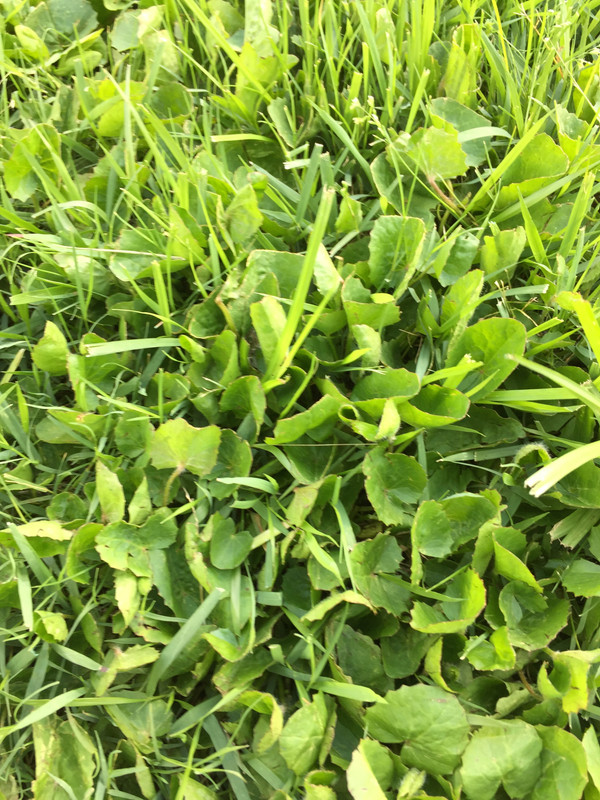 515AFD04-6115-4FF8-B650-1664C97BF849