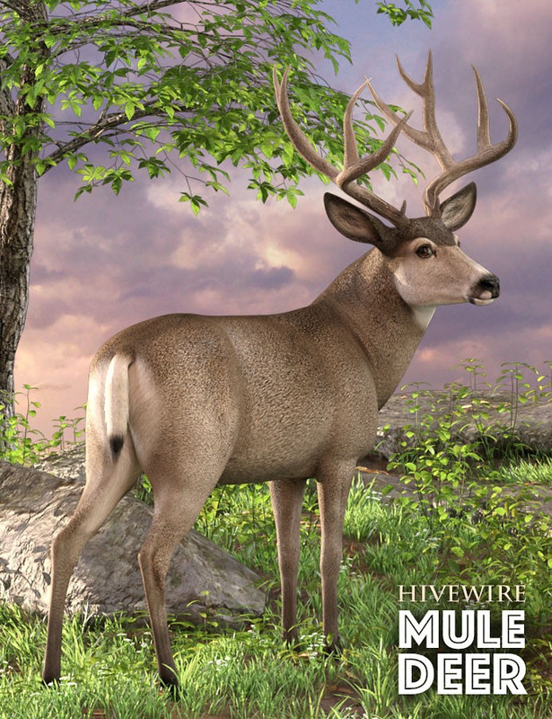 HiveWire Mule Deer Buck