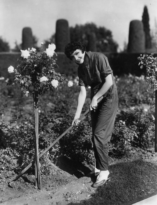 claudette_colbert_c88