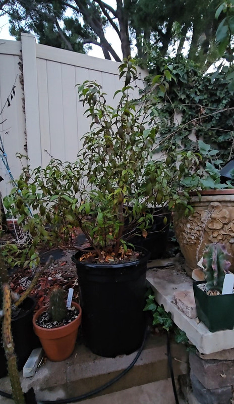 Screenshot_20250315_141747_Gallery