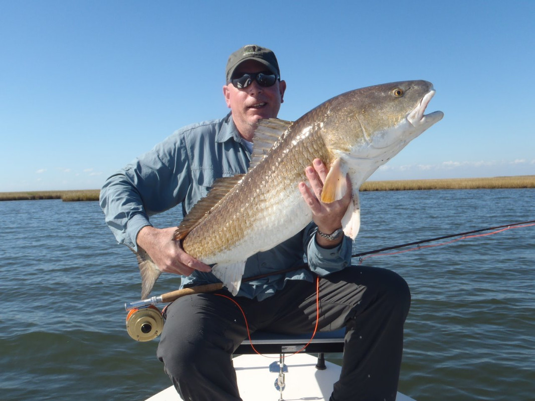 65E76F4E-9651-476E-A0BC-27385857F79A