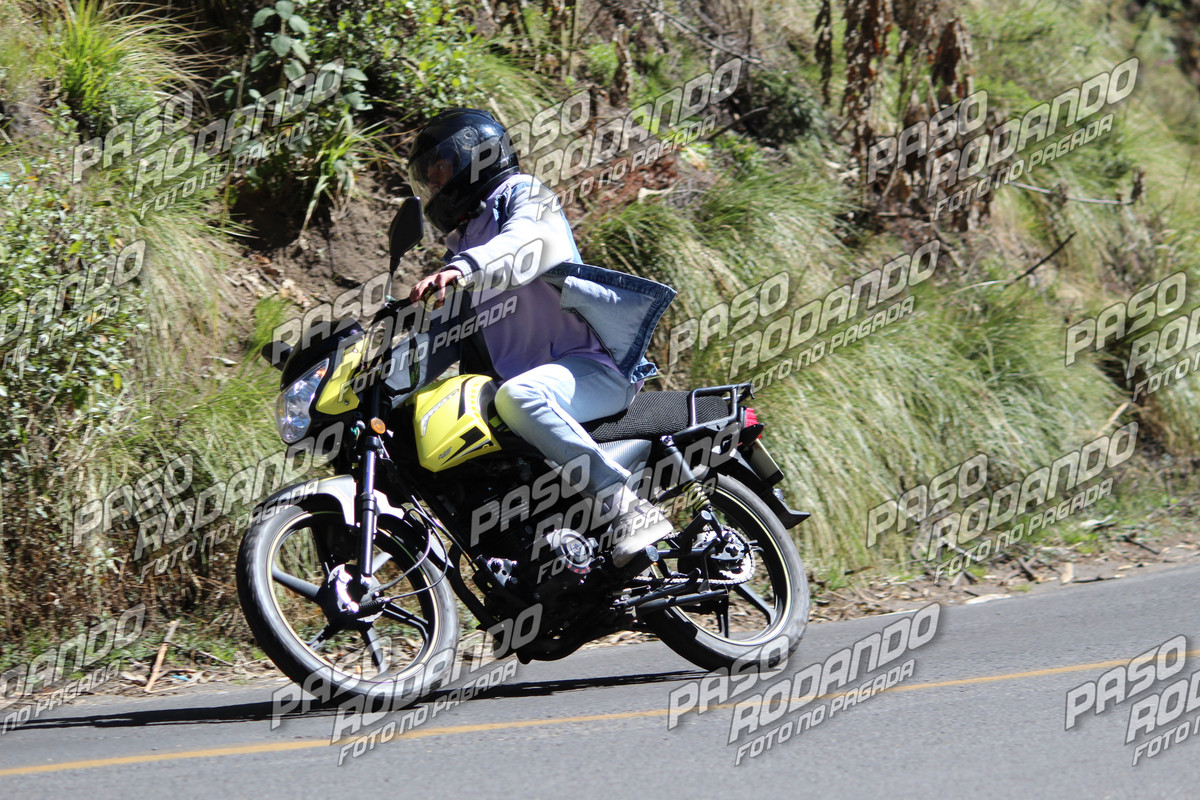 IMG_3587-wm-343791.19999999925_watermarked