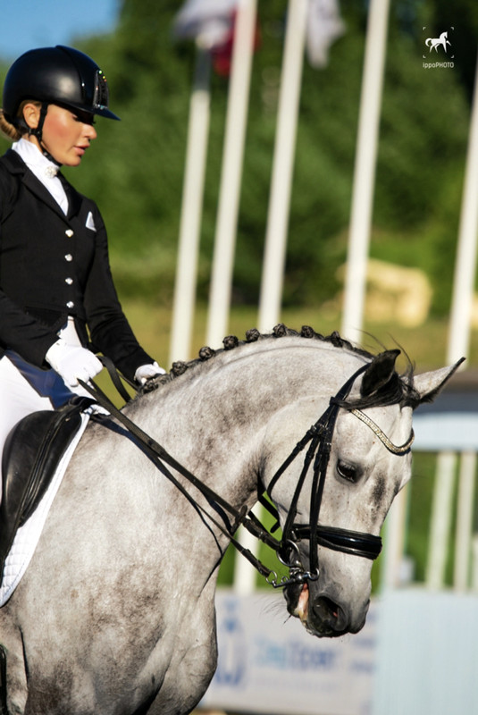 4BDA0A54-0E17-4935-AB6D-E1F33E09D6BB