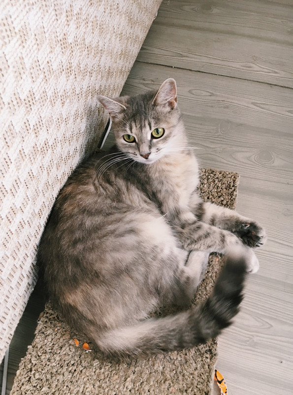 F8FFF76F-9C2A-4602-83D3-74231DEE433C