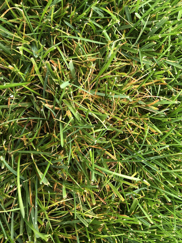 31689C0B-7084-45EF-AE21-AC3B1859A780