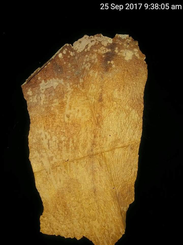 FB_IMG_1540882530187 (1)