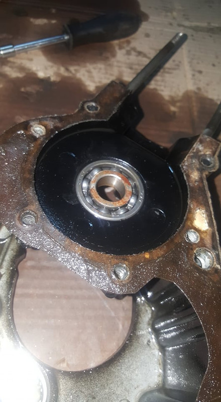 82657312_473159236681531_2332126821790777344_n