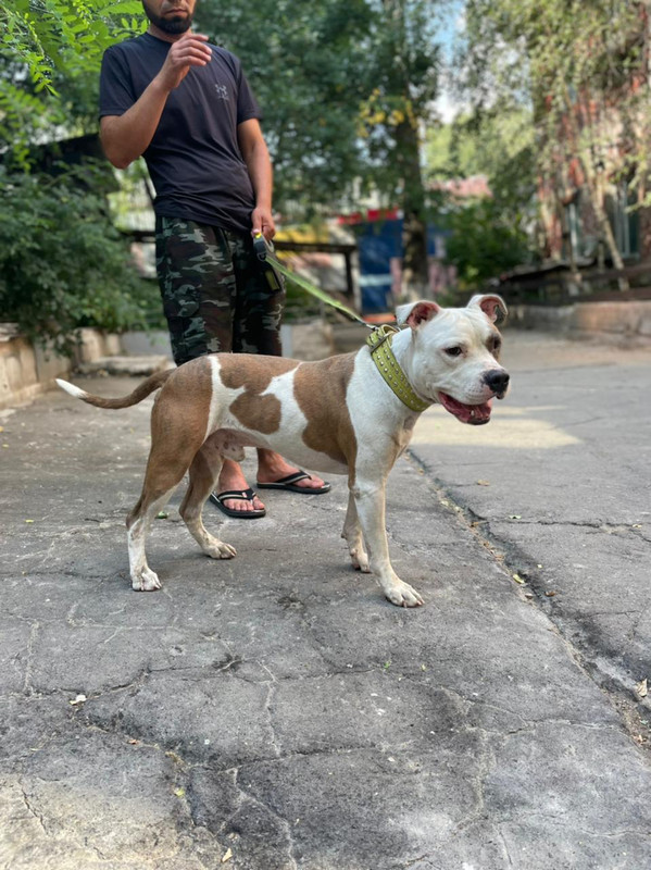 WhatsApp Image 2022-08-05 at 14.54.02 (1)