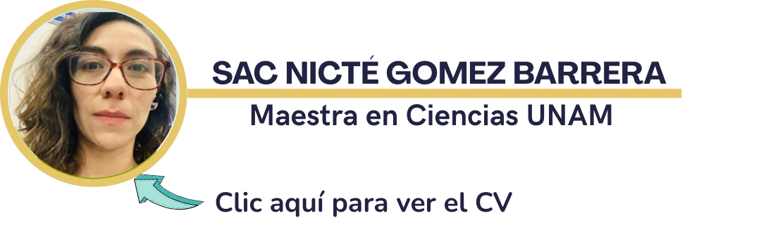 Jesús E. Gutiérrez Cruz