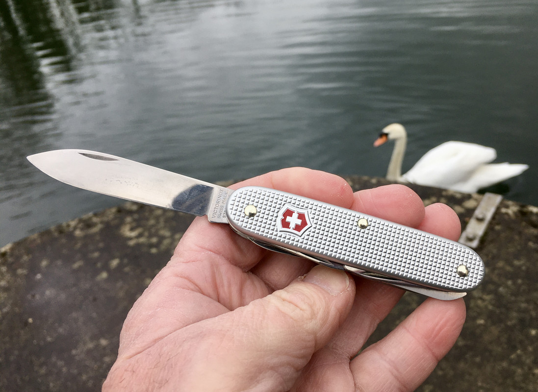 676ECEFE-08D2-410C-9283-D25F506A4E82