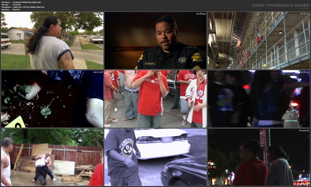 Gangland S05E09 Dog Fights.mkv