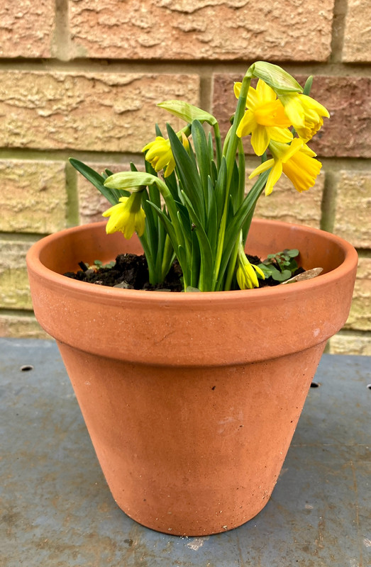 1053A808-4E9D-4AC6-B866-925D4C8C1B65