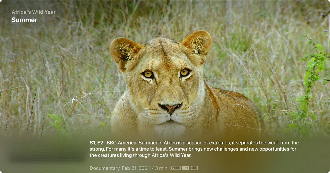 snapedit_1719024183321-topaz-faceai-sharpen-enhance-2.5x