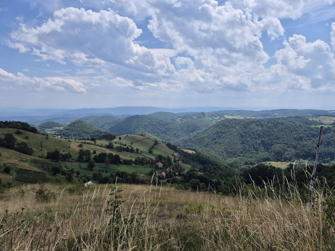 20250803-134547.jpg