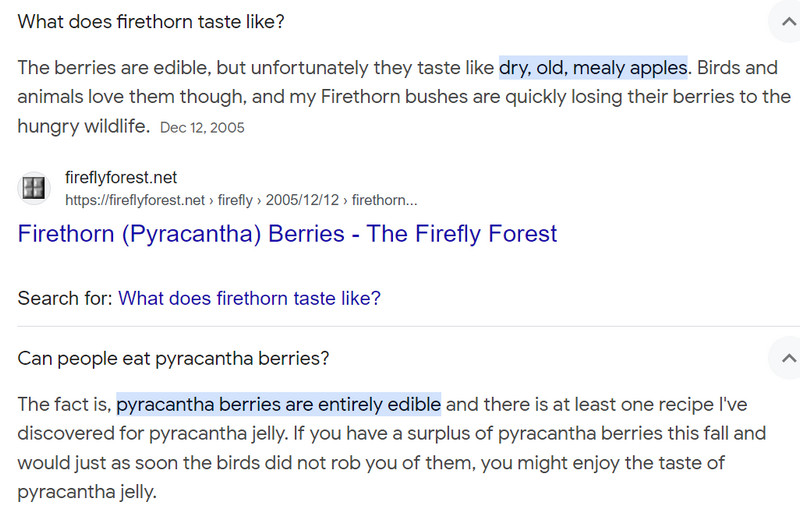 [Image: 2024-04-20-135938.jpg]