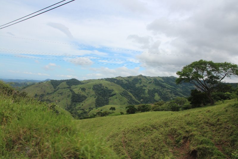 DIA 12: TRASLADO A DOMINICAL Y COCODRILOS EN TÁRCOLES - DE TORTUGAS Y PEREZOSOS. COSTA RICA 2019 (2)