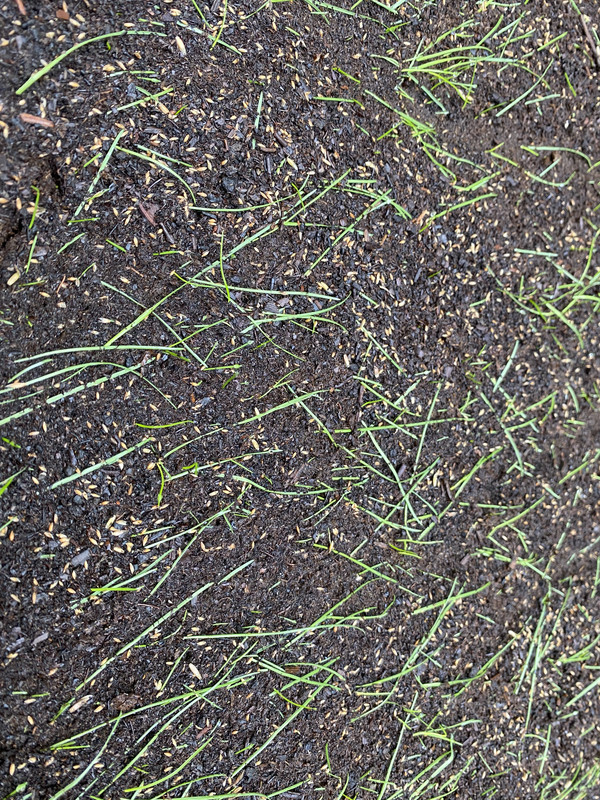 E4EDC851-D2F3-4935-AE23-7CB0B18947BA