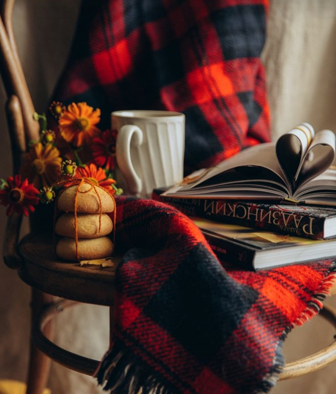 Screenshot_20240104_001905_Pinterest