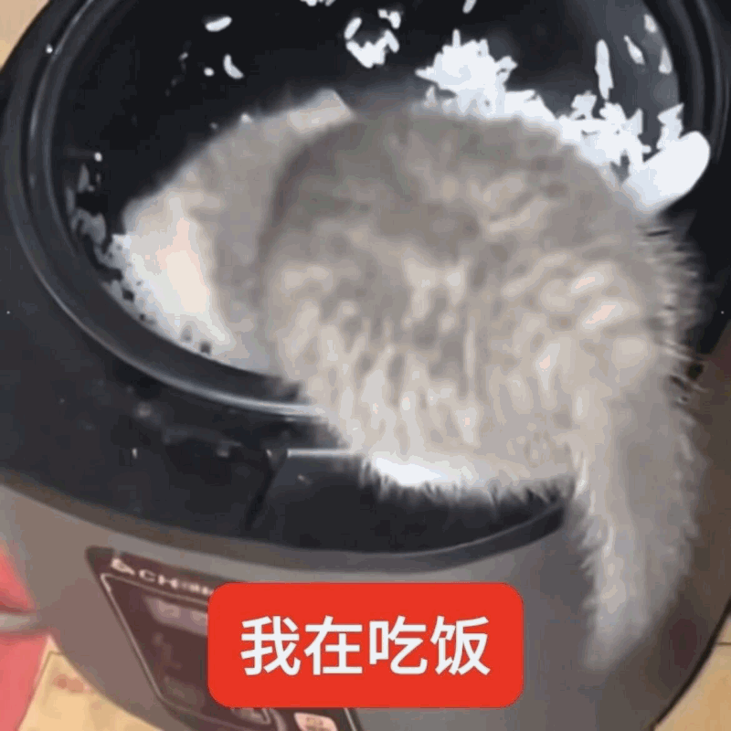窝窝 表情包 微笑面对 超可爱 20260521143908 20260521143918