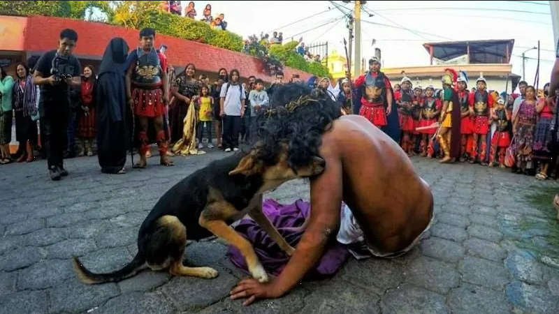 Perro callejero conmueve al mundo al consolar a Jesús durante el viacrucis en Guatemala