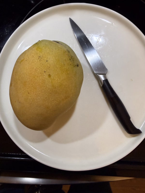 Mango Edward 726b