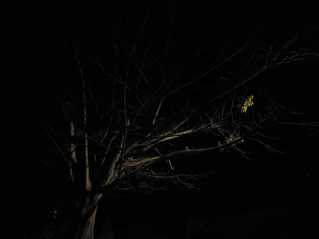 44.1.bloqueia ali carlão I