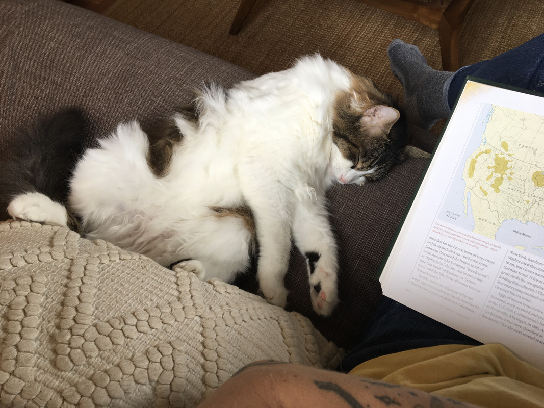 51AB403C-AF3B-4ECD-B35D-0193278215C1_1_201_a