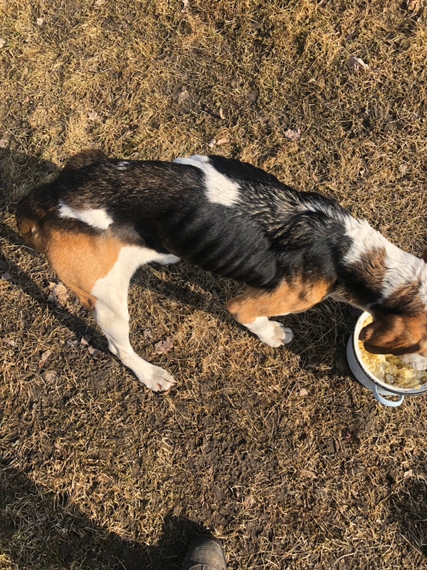 681A44DB-F0DB-4D37-B2F9-11B3F0EACF41