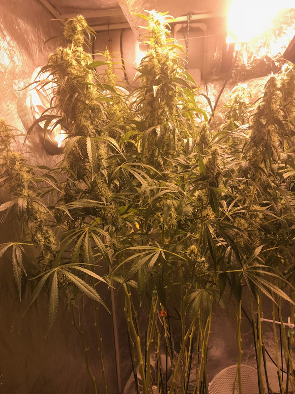 310B8B34-6AA4-47AC-A083-62D725BC06FC