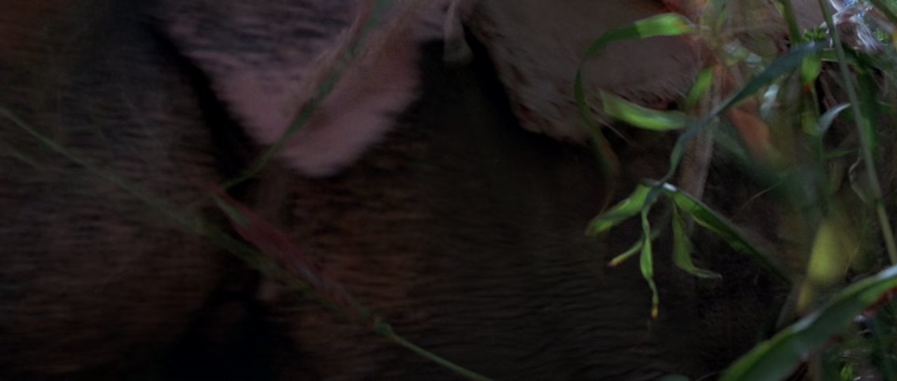 Octopussy-1983-Blu-Ray-Hindi-English-1080p-10bit-x265-HEVC-DDP-5-1-ESub-mkv-0003