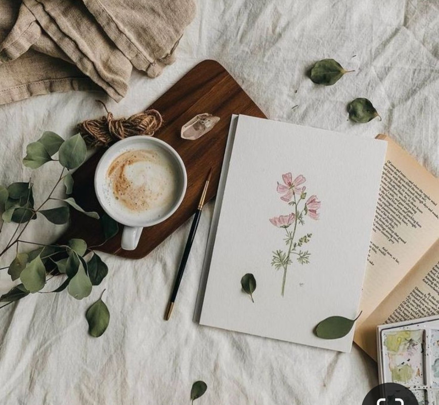 Screenshot_20240502_232706_Pinterest