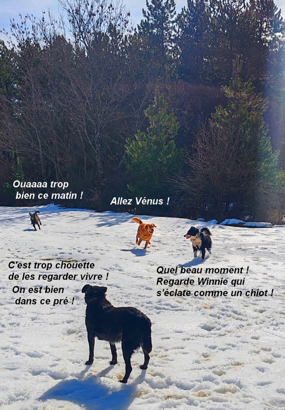 IMG-20260222-115403bb