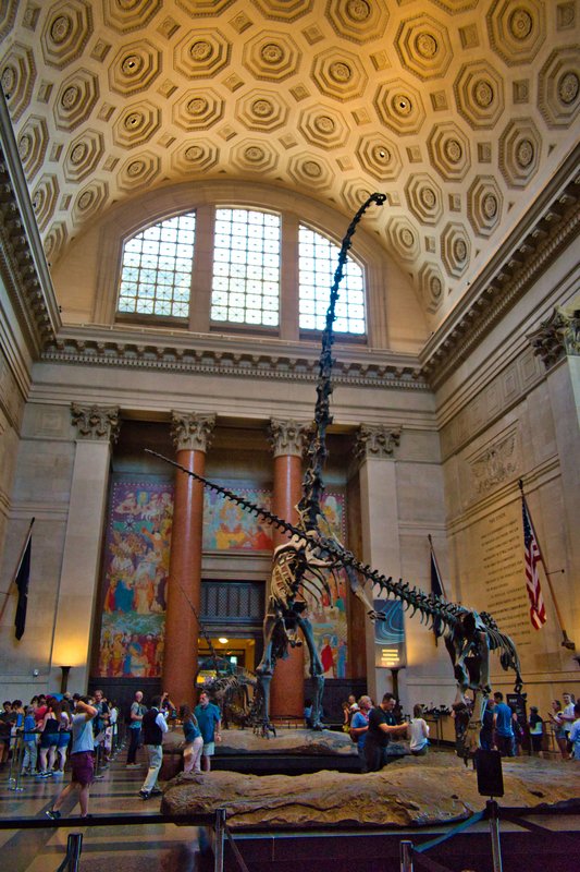 Nueva York en Septiembre - Blogs de USA - Día 3 - Museo Americano de Historia Natural y Central Park (2)