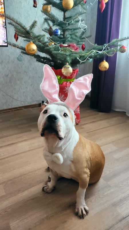 3C250B03-A9F0-4675-9934-50B3B8EE7506