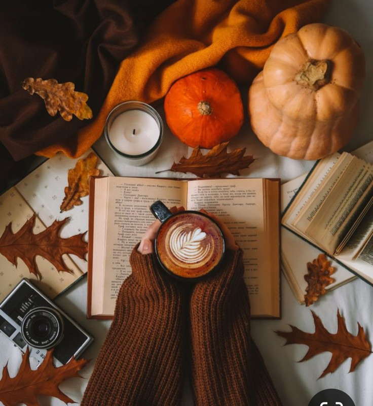 Screenshot_20231015_200307_Pinterest