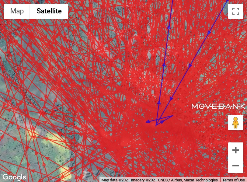 2021-02-16 mare south