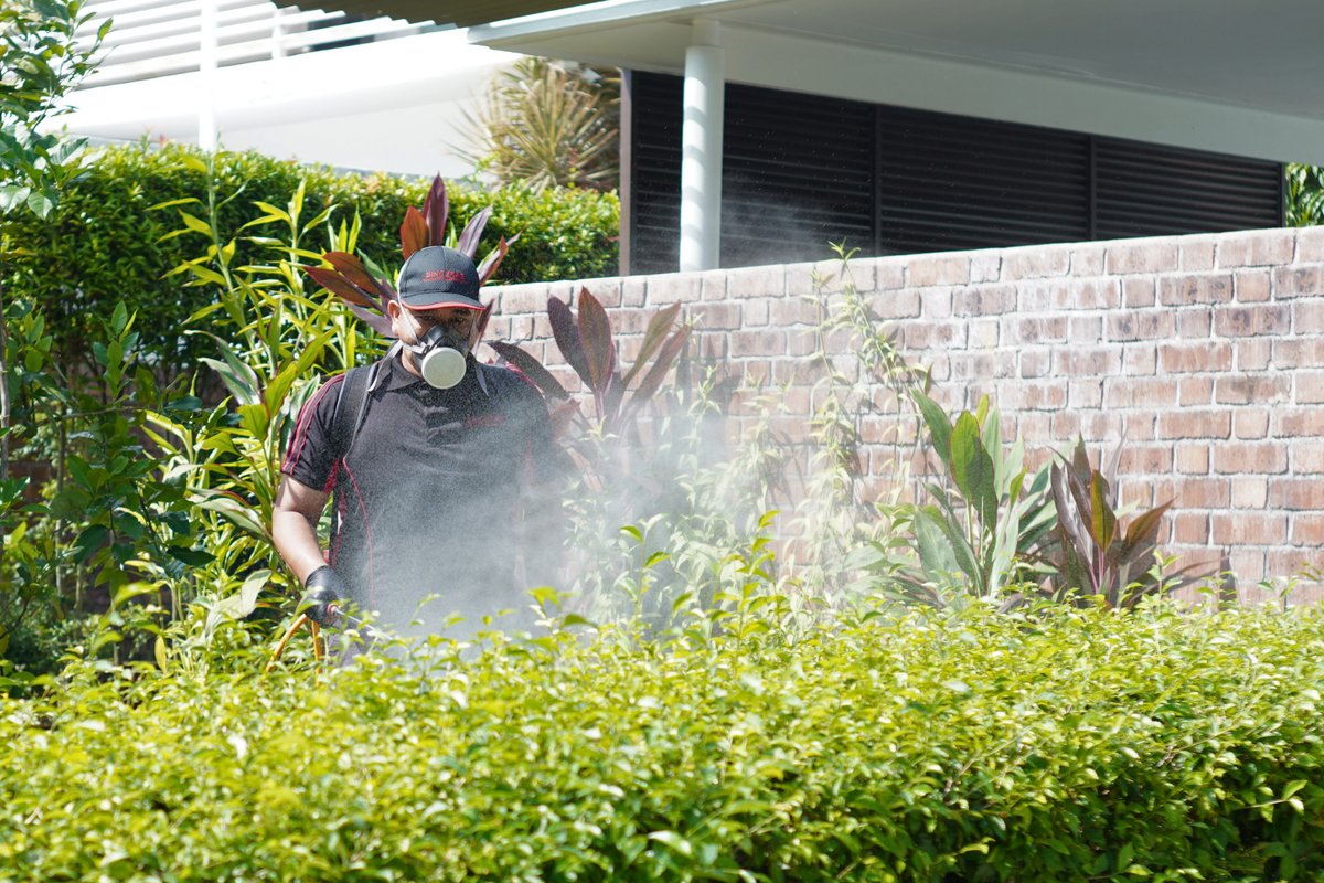 Misting treatment in a residential home