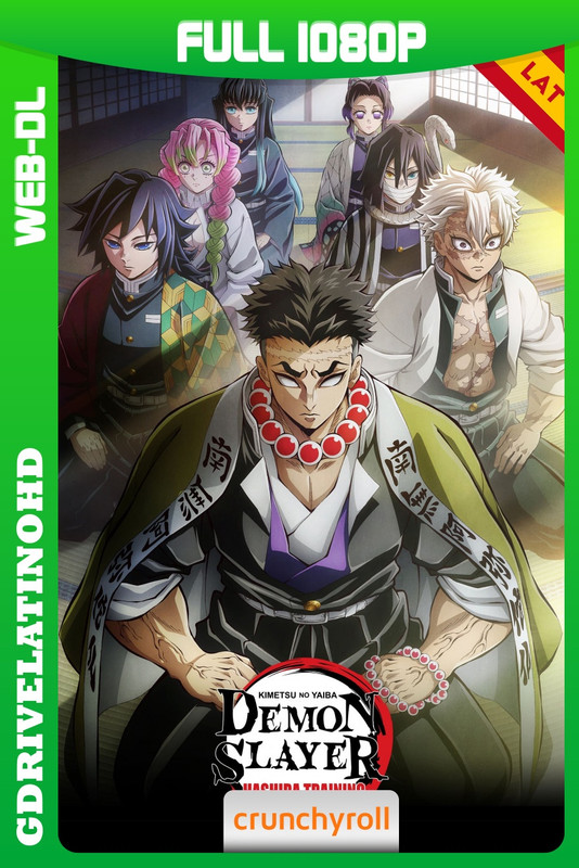 Demon Slayer: Kimetsu no Yaiba (2024) Arco del Entrenamiento Pilar [8/8] WEB-DL 1080p Latino-Japonés