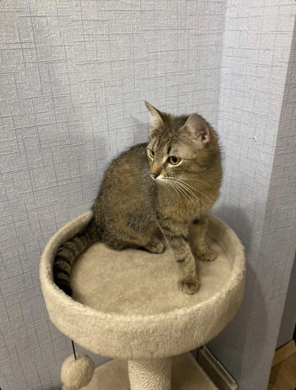 8AC8AC28-FA6D-44E2-B680-8D396B96BEC5