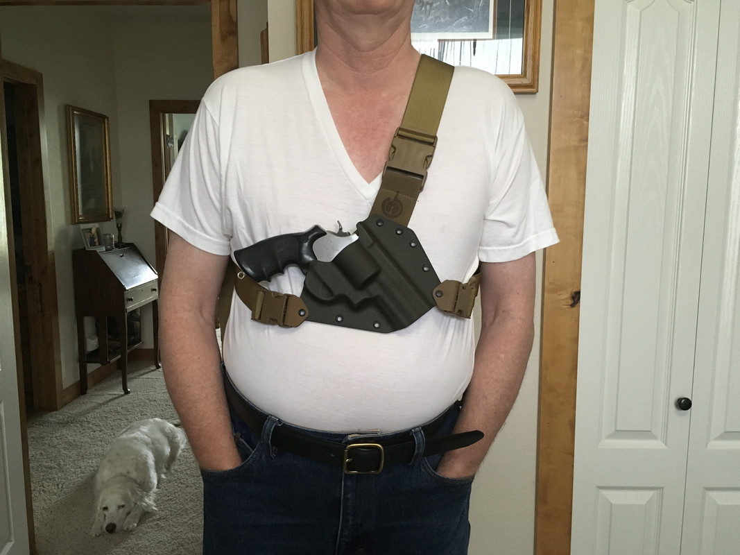 5E452D33-2A94-4DE0-88C7-B654D98E4A96