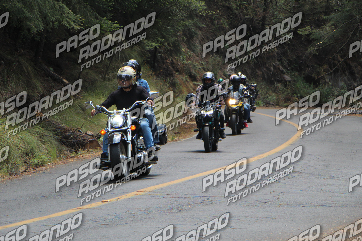 IMG 0742 wm 2030629 6 watermarked — Postimages