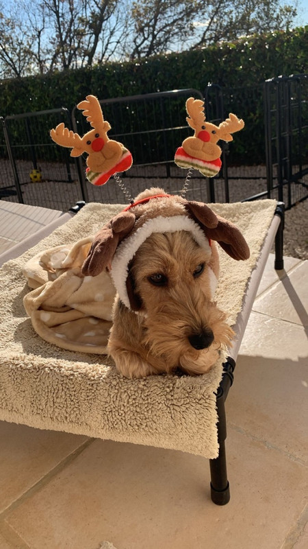 [Image: IMG-20231224-062751.jpg]