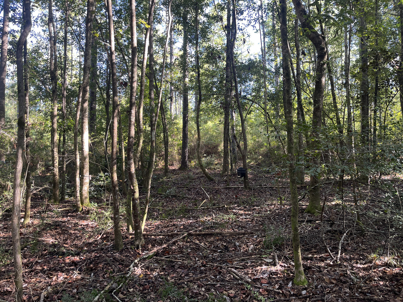 IMG 8200