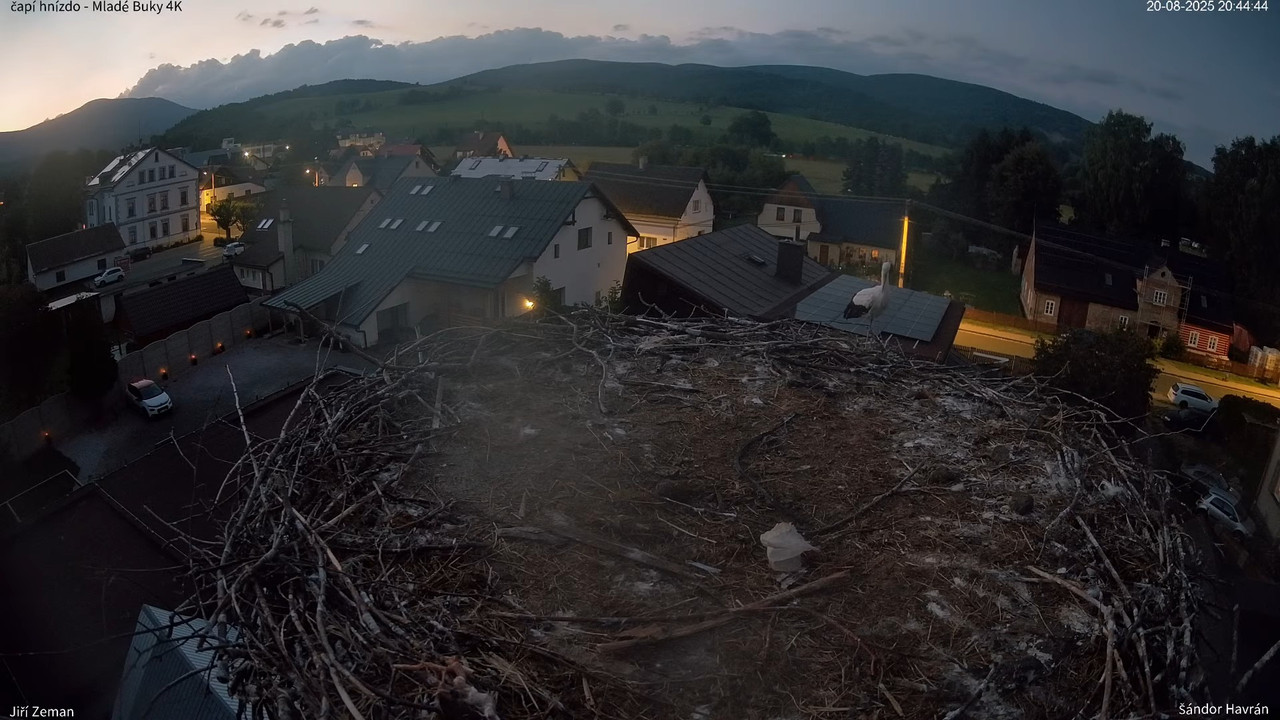 Tiešraides kamera — Mladé Buky — stārķa ligzda 4K 15-38-26 screenshot