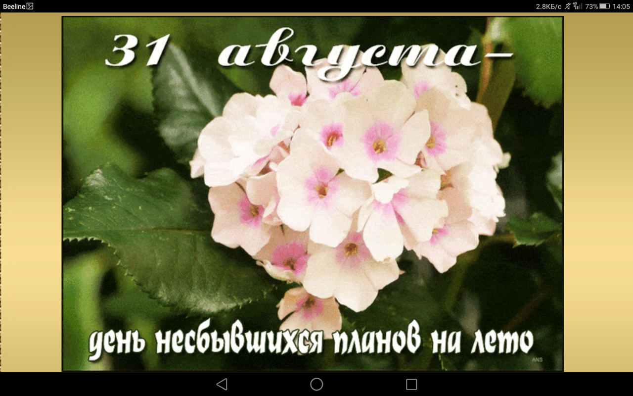 Screenshot_2023-08-31-14-05-35