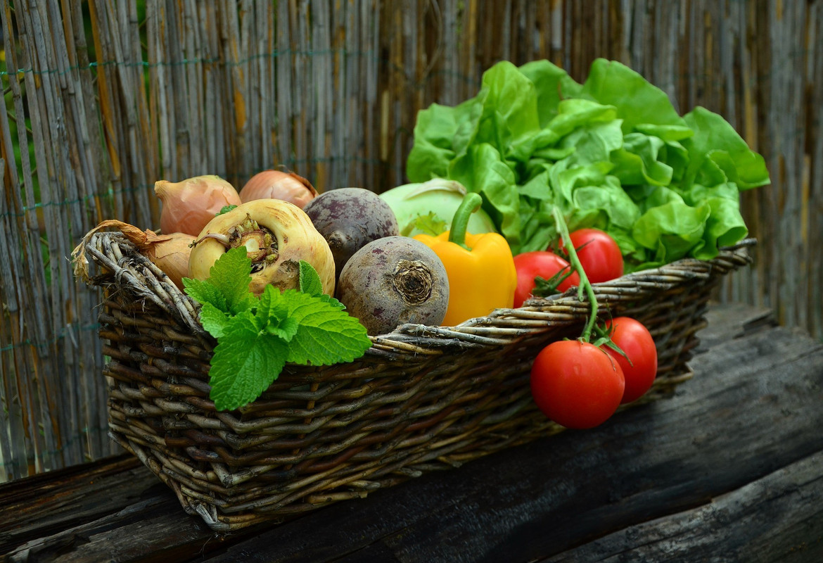 Why Healthy Harvest is a Leader in Healthy Eating Trends?