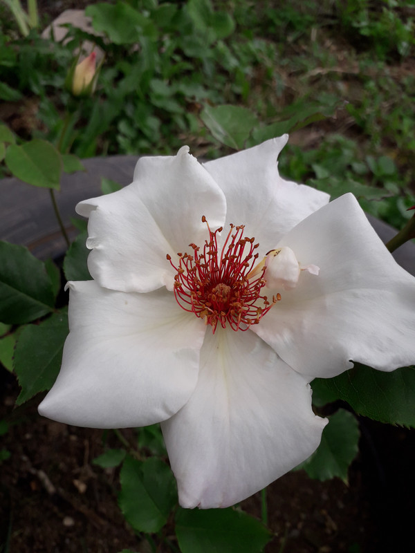 20190530_154656