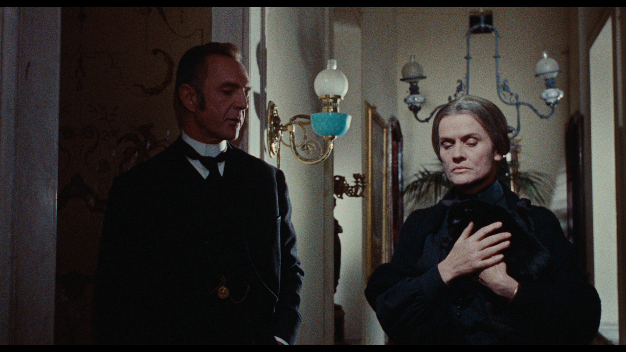 vlcsnap-2023-11-05-15h25m25s714